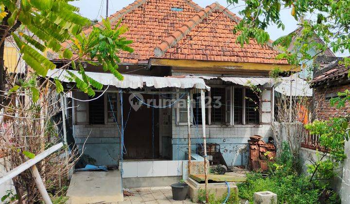 Rumah ORIENTASI TANAH Lokasi ABIMANYU,Dekat kota, 1