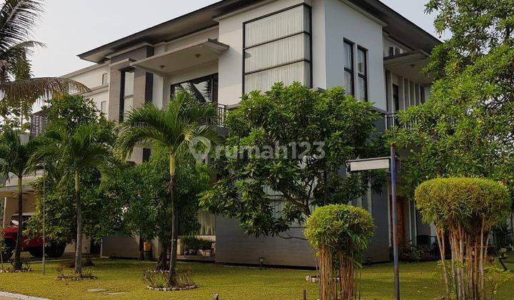 Rumah Luas Kolam Renang Sutera Magnolia Alam Sutera 2