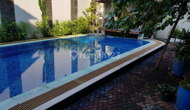 Rumah Luas Kolam Renang Sutera Magnolia Alam Sutera 2