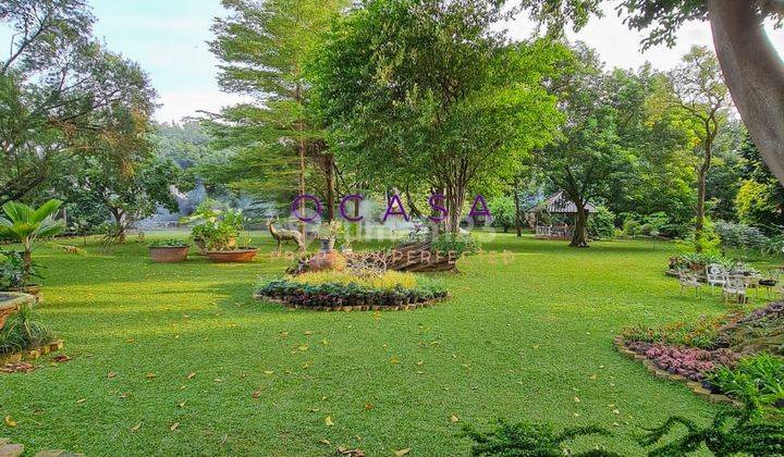 Rumah Klasik Modern Asri Di Cilandak Corio 2