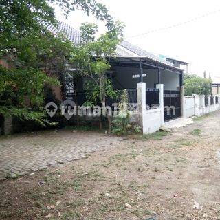 Rumah Nyaman Siap Huni, Nagrak, Cianjur 2