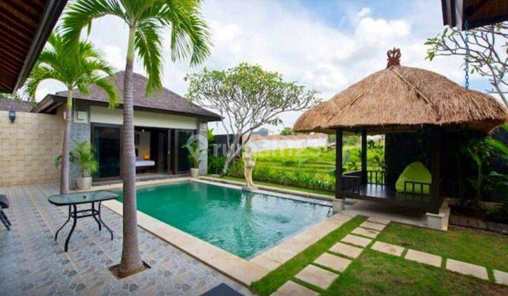 Villa 3 Br Umalas View Rice Fields 1