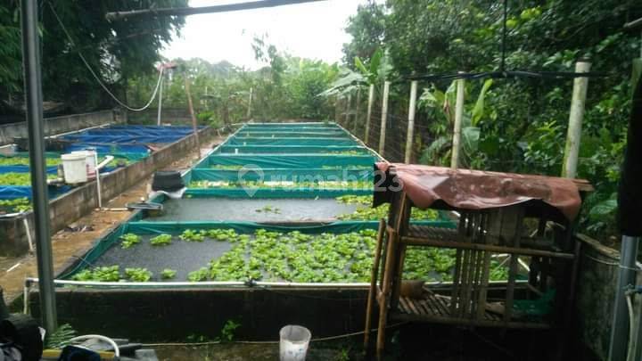 Jual Rumah dan Kolam Ikan, Bogor 1