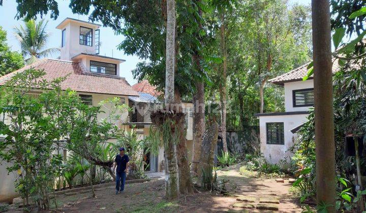 Villa los sungai petanu radius 10 menit ke ubud 1