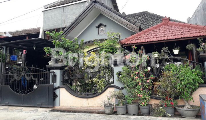 Affordable House Suitable for Residence &amp; Rental 2