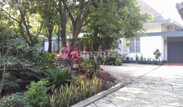 For Sale Dago Wing House 2