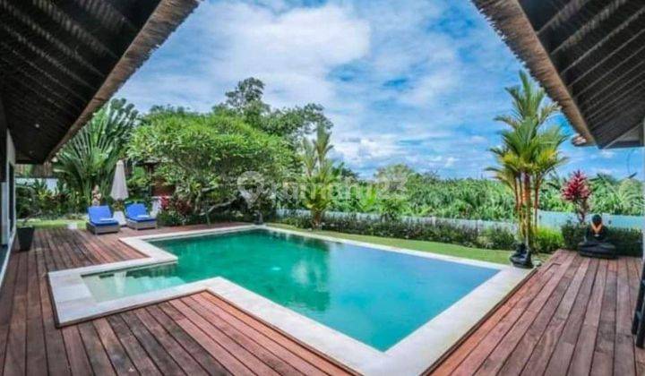 Villa 3 br di padonan canggu dengan pemandangan sawah 1