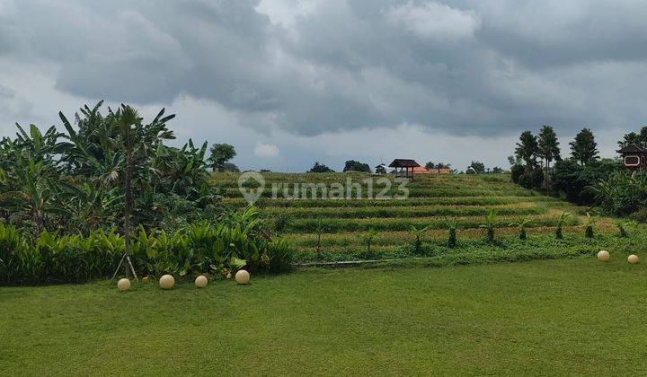 Villa Babakan Canggu Badung View Sawah 2