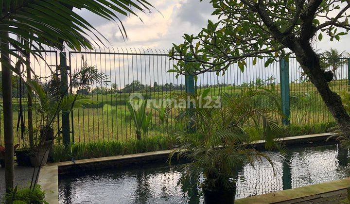 FOR SALE CAPITAL PRICE VILLA COMPLEX WITH RICE FIELD VIEW 2