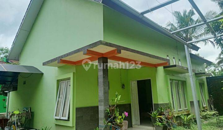 Rumah Homestay Dekat Kampus Uii Jalan Tembus Ke Arah Solo. 2