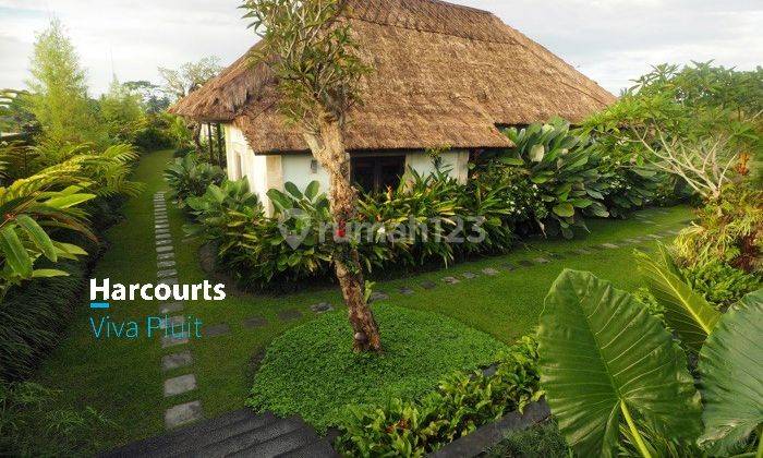 Villa Jl. Raya Keliki, Ubud, Bali. Cocok Untuk Investasi! 1