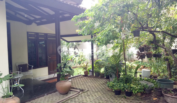 FOR SALE AREA LEBAK BULUS