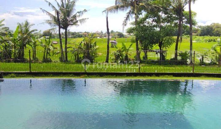 Villa 4 Br + 1 Bungalow Canggu View Sunset Rice Fields 1