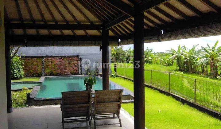 Villa 4 Br Plus 1 Bungalow In Padonan Canggu Sunset View  2