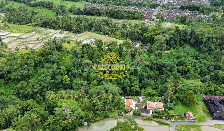 Villa Jual Lokasi Tegallalang 2