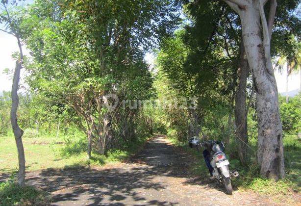 Land For Sale Close From Internasional North Airort Project. 2