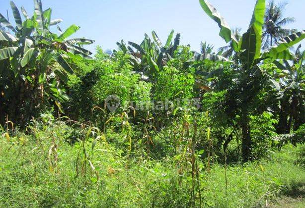 Land For Sale Close From Internasional North Airort Project. 2