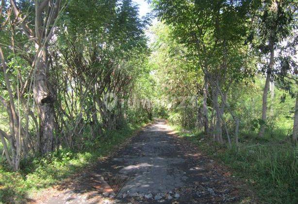 Land For Sale Close From Internasional North Airort Project. 1