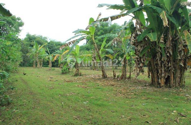 Tanah Di Jual Beach Front 1