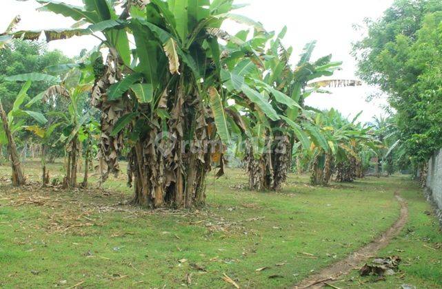 Tanah Di Jual Beach Front 2