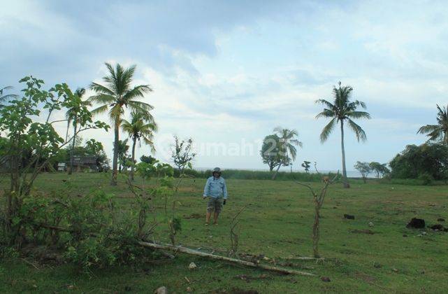 Land For Sale 1