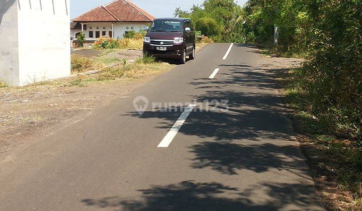 Tanah Kalibukbuk Buleleng Lovina Bali 2