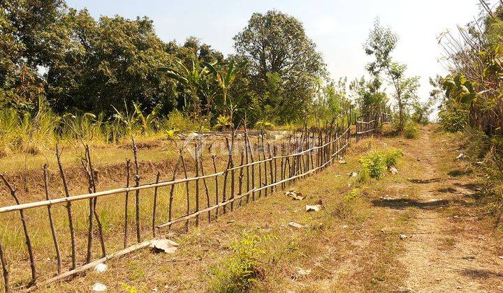 Tanah Kalibukbuk Buleleng Lovina Bali 1