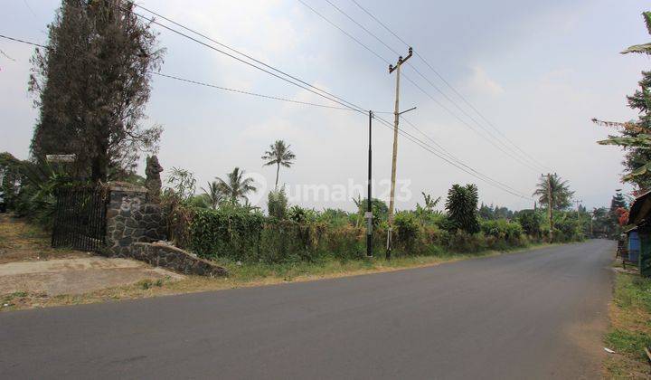 Tanah Murah di Taman Safari, Puncak, Bogor, cocok untuk Hotel, Pesantren, gedung pertemuan, Hotel, dsb nya !!