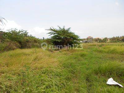 BEAUTIFUL LAND LOCATED IN EXLUSIVE AREA OF CANGGU 1