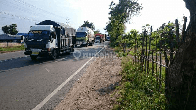 Tambakboyo Jalan Pantura Tuban Nol Jalan dan Nol Laut 2