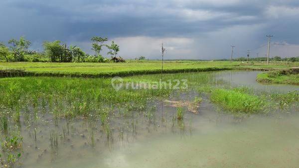 Tanah Di Klapanunggal, Bogor 1