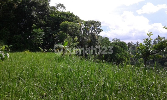 Nice land next to the road with beautiful views