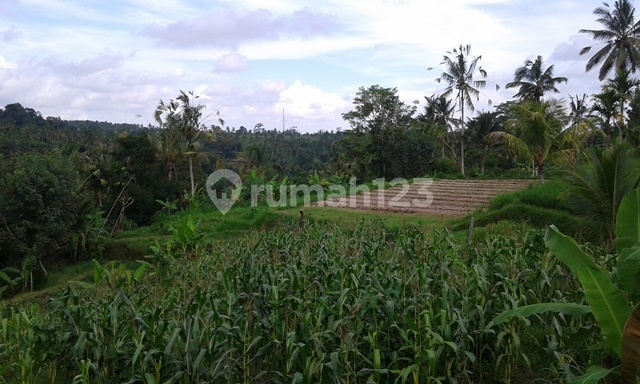 Tanah dengan pemandangan bagus,di lingkungan yang Nyaman 1