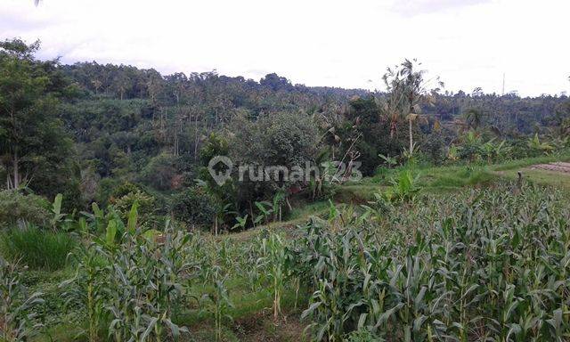 Tanah dengan pemandangan bagus,di lingkungan yang Nyaman 2