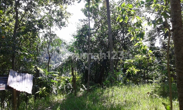 Tanah dengan pemandangan sungai Ayung Nan cantik