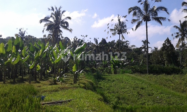 Land with a beautiful twin river view Land with a beautiful twin river view