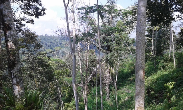 Tanah berlokasi dilingkungan sangat strategis untuk di bangun hotel