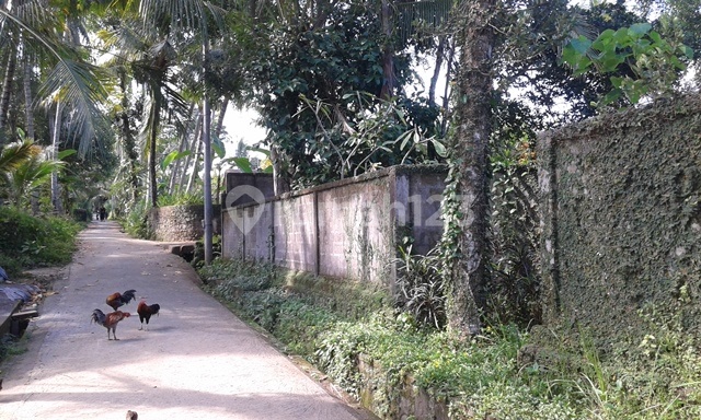 Tanah dengan ijin lenkap view sawah nan cantik