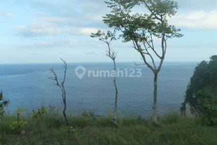 tanah view pantai 2