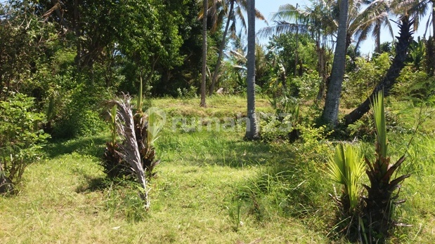land with beautiful view 1