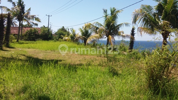 land with beautiful view 2