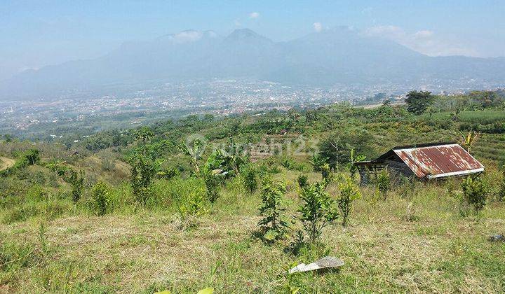 Tanah Strategis  Batu Desa Bumiaji 1