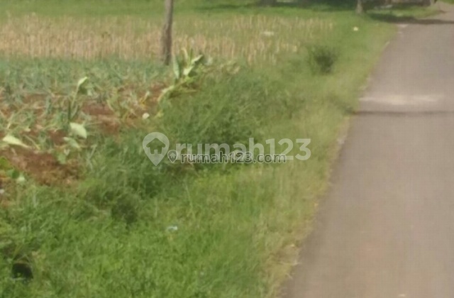 Tanah Muraaah Rp. 95.000 Per Meter Cocok Untuk Kebun, Villa, Peternakan Di Bandung Selatan Rp. 95.000/m² Tanah Muraaah Rp. 95.000 Per Meter Cocok Untuk Kebun, Villa, Peternakan Di Bandung Selatan Rp. 95.000/m²