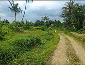 Tanah Jalur Wisata Jln Situ Daun Dekat Wisata Gunung Salak 1