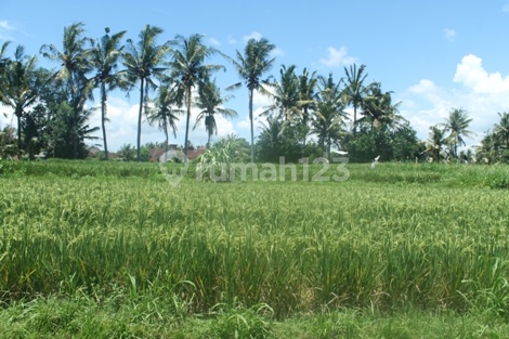 land beach view good for villa price negotiable