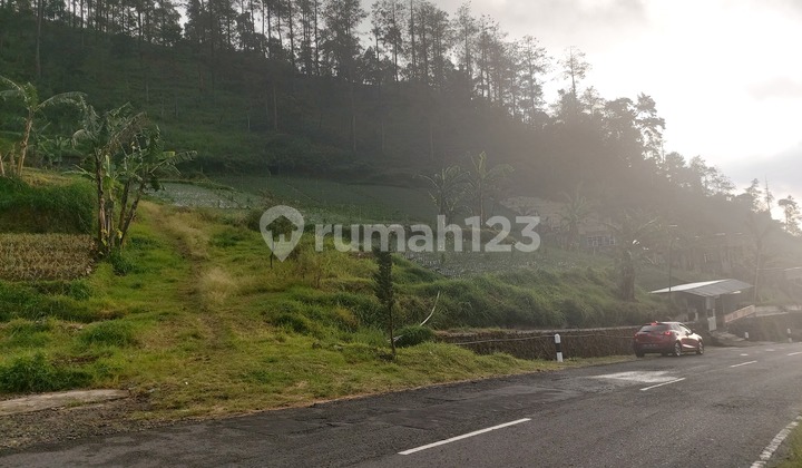 Tanah pinggir jalan raya blumbang tawangmangu.. Tanah pinggir jalan raya blumbang tawangmangu..