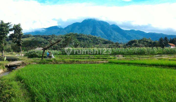 Tanah Subur Suasana Alam View Indah Gunung Salak Jalur Wisata  1