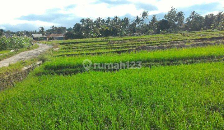 Tanah Subur Suasana Alam View Indah Gunung Salak Jalur Wisata  2