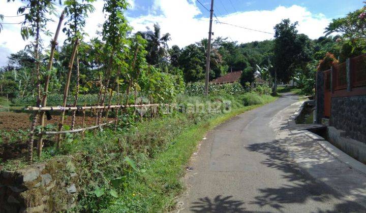 Tanah Subur Strategis Jalur Wisata Gunung Salak For Villa Kebun 1