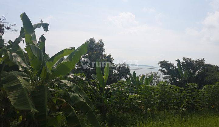 Dijual tanah di kawasan tanjung lesung view pantai 1